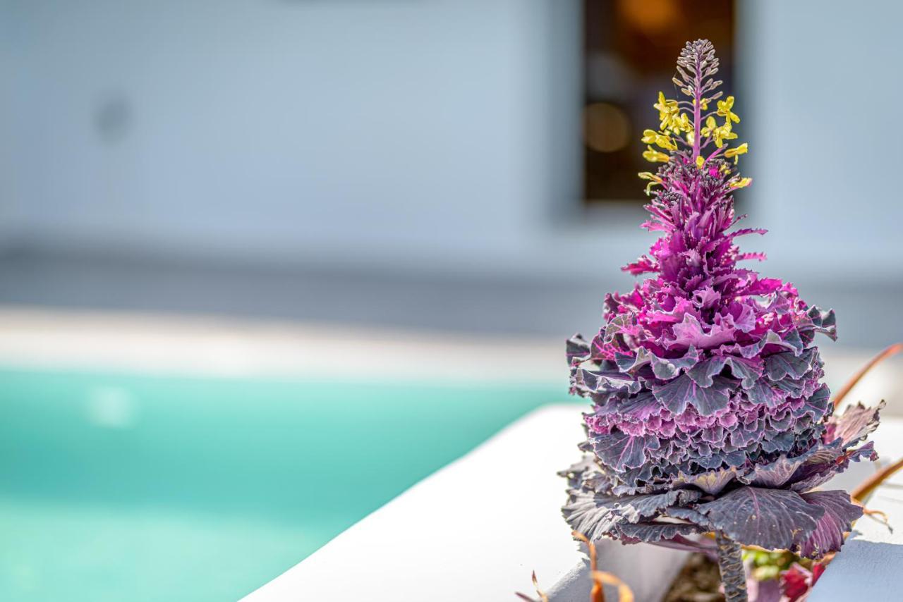 Siete Mares Luxury Suites イメロヴィグリ エクステリア 写真